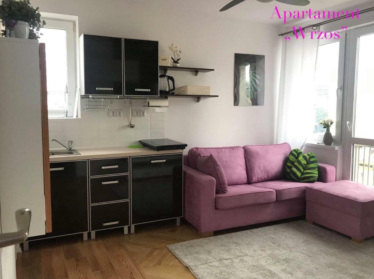Deluxe Panska Apartments Warsawa Bagian luar foto